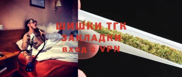 эйфоретик Гусь-Хрустальный