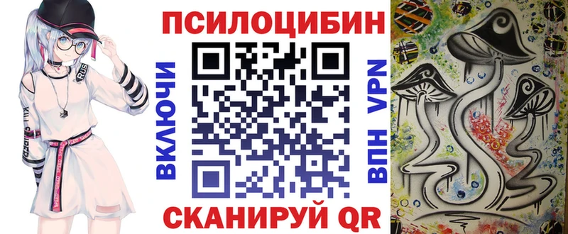 Псилоцибиновые грибы прущие грибы  купить  цена  кракен зеркало  Нахабино 